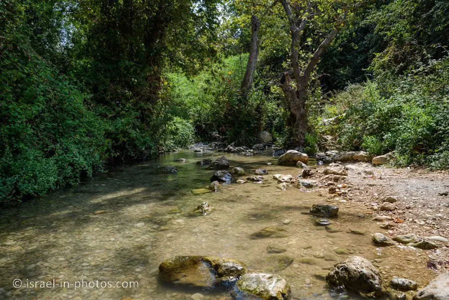Water Trail