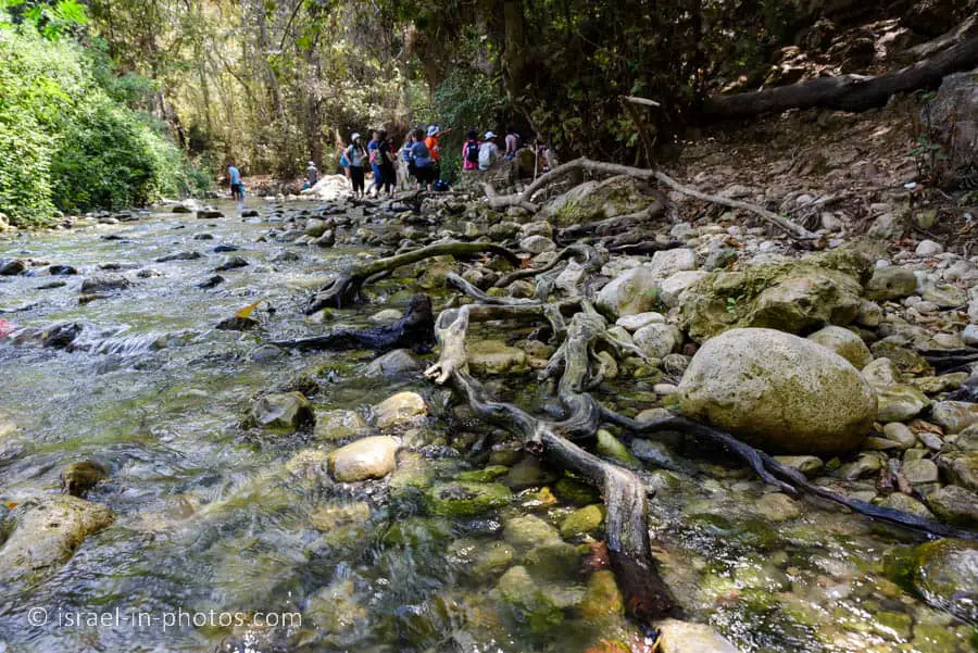 Water Path