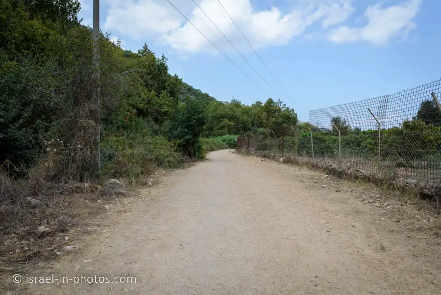 The green trail