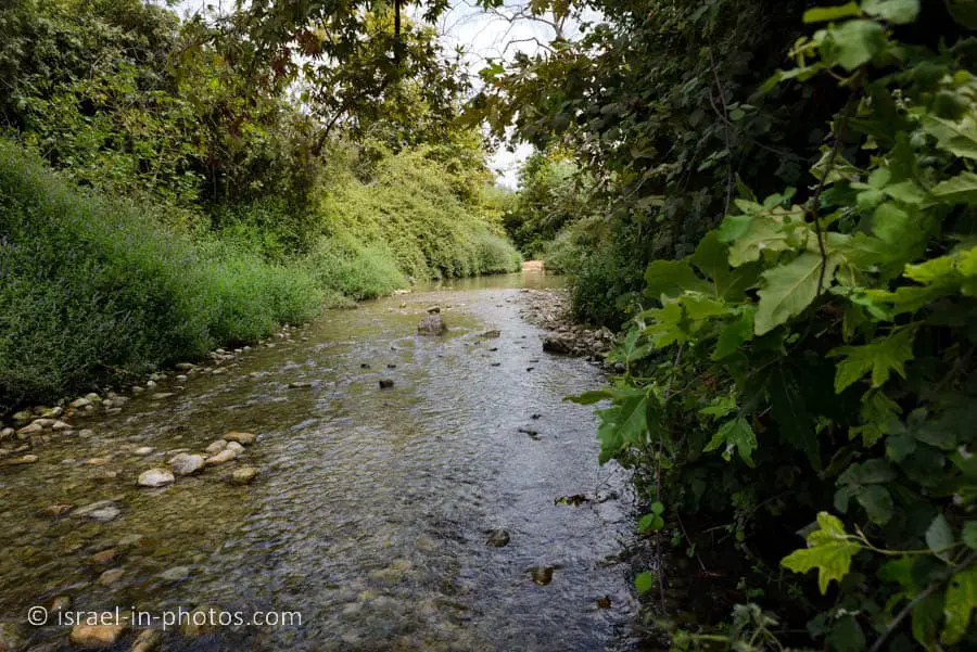 Water Trail