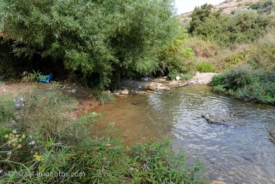 The beginning of the water hike at Ein Hardalit