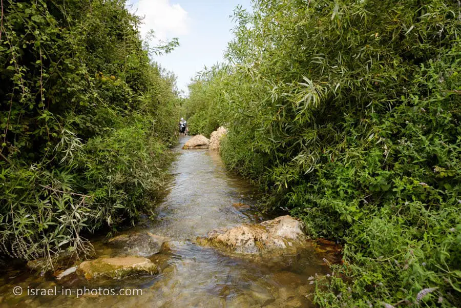 Ein Hardalit Trail