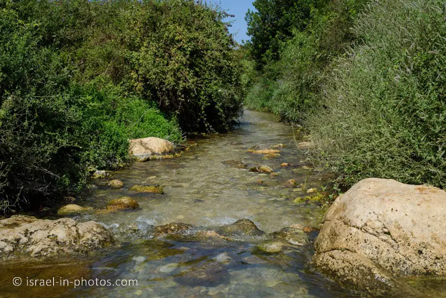 Water Hike