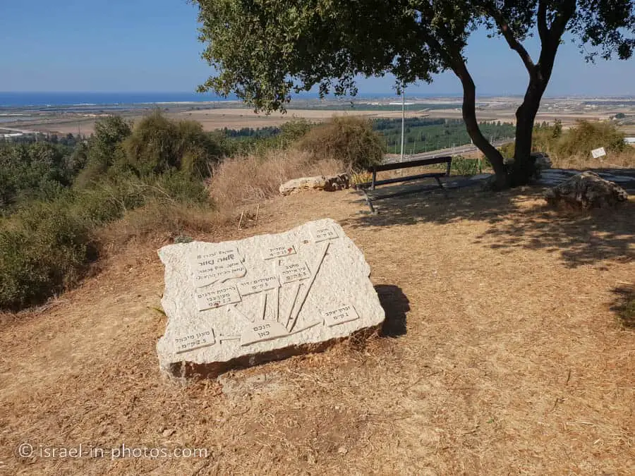 Shlomo Naor Viewpoint