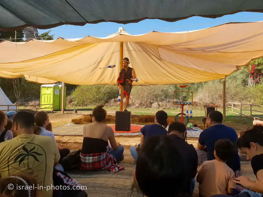Circus Show