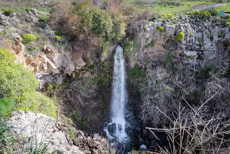 Ayit Fall