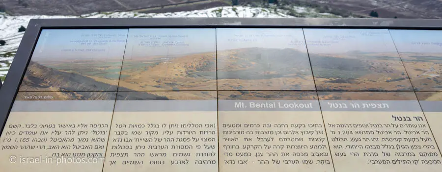 Lookout