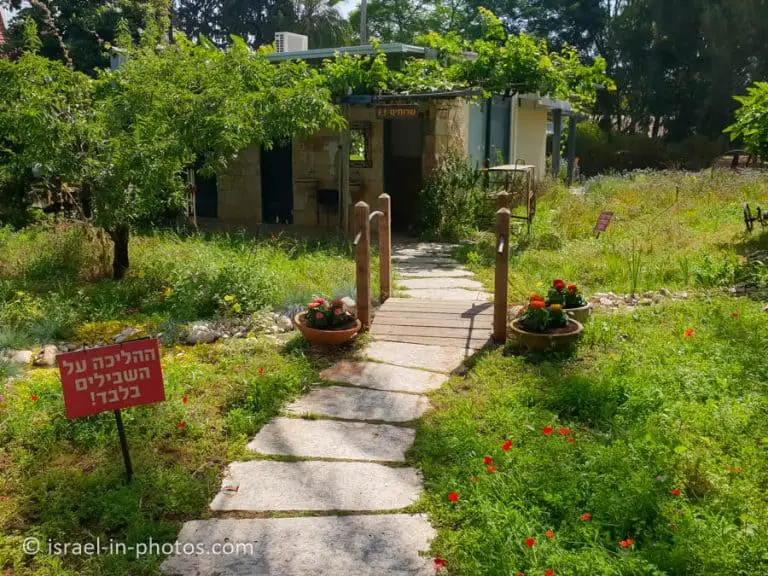 The Markovitch Cheese Farm Visitors Guide Israel in Photos