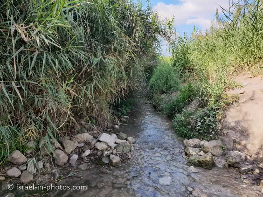 Water Hike