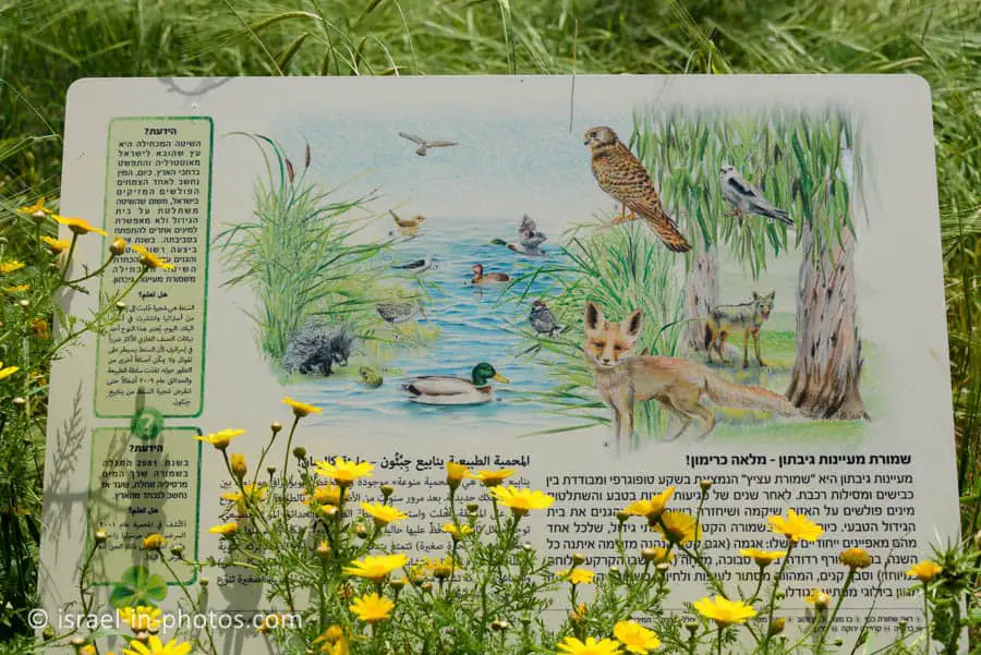 Wildlife
