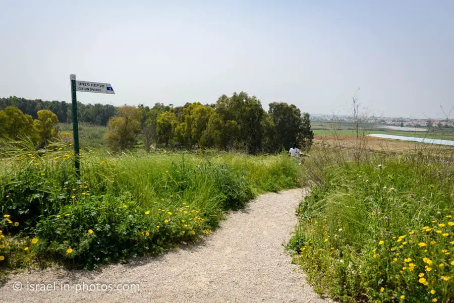 Continuation of the trail