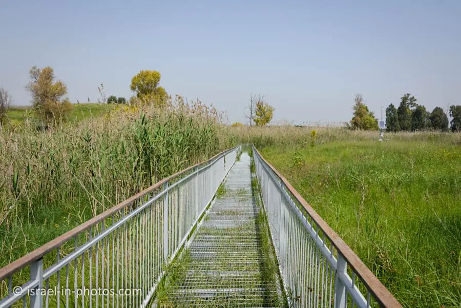 Gibton Springs Nature Reserve