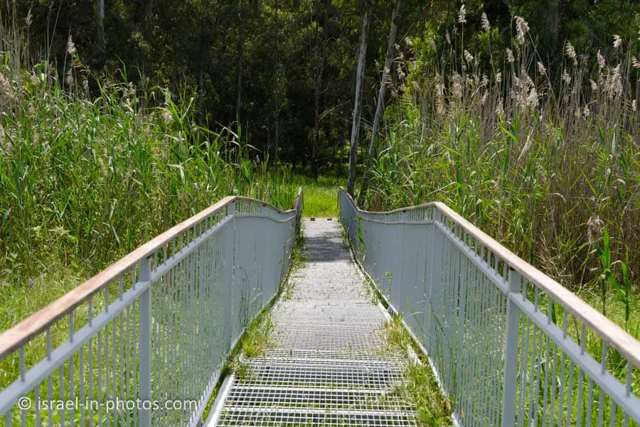 Continuation of the trail