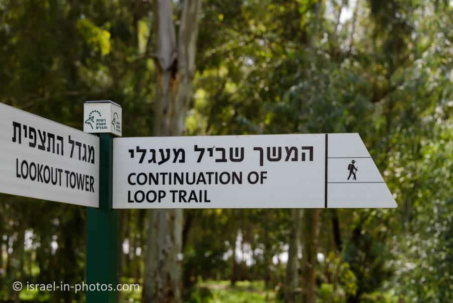 Loop Trail