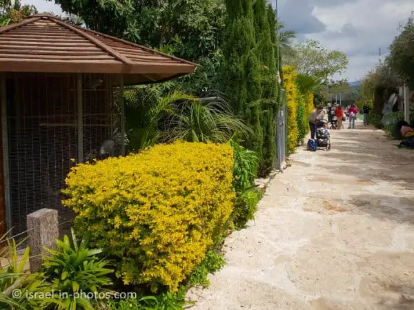 The Rabbit Village, Bethlehem of Galilee - Visitors Guide - Israel in ...