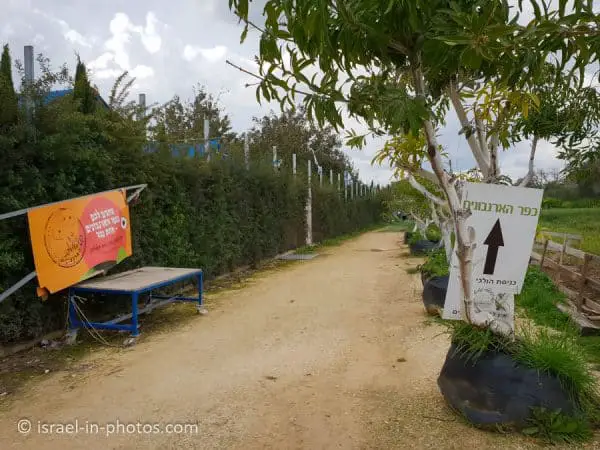 The Rabbit Village, Bethlehem of Galilee - Visitors Guide - Israel in ...