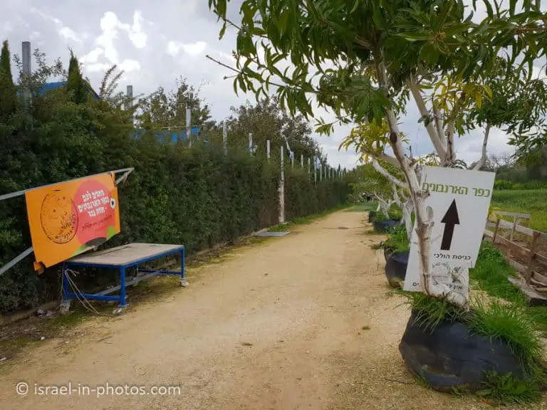 The Rabbit Village, Bethlehem of Galilee - Visitors Guide - Israel in ...