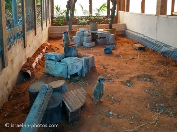 The Rabbit Village, Bethlehem of Galilee - Visitors Guide - Israel in ...