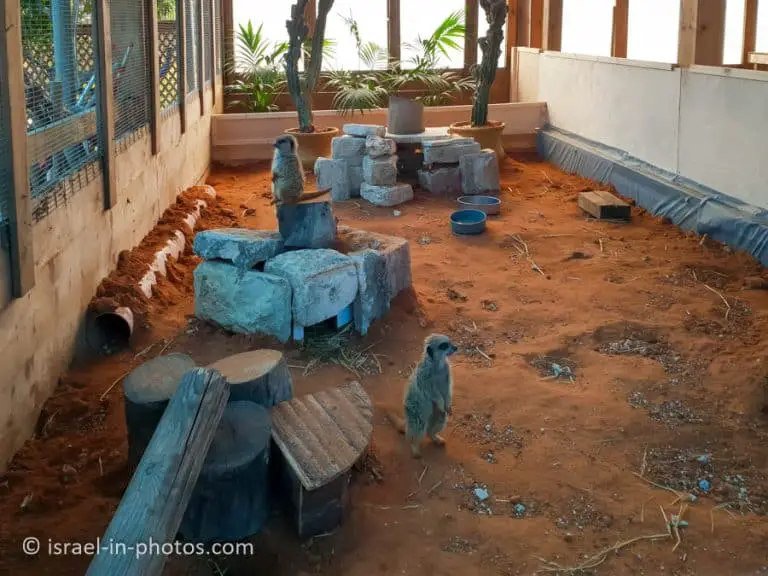 The Rabbit Village, Bethlehem of Galilee - Visitors Guide - Israel in ...