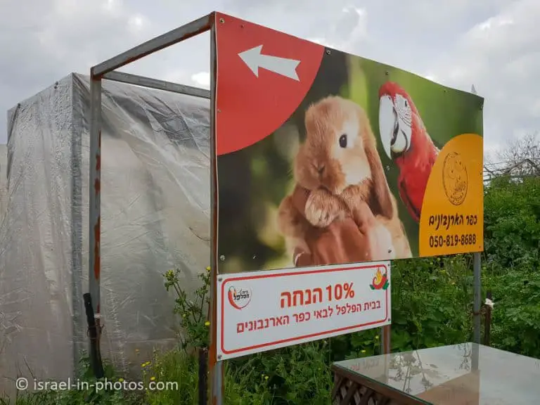 The Rabbit Village, Bethlehem of Galilee - Visitors Guide - Israel in ...