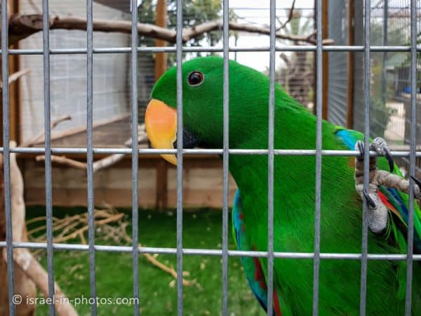 The Rabbit Village, Bethlehem of Galilee - Visitors Guide - Israel in ...