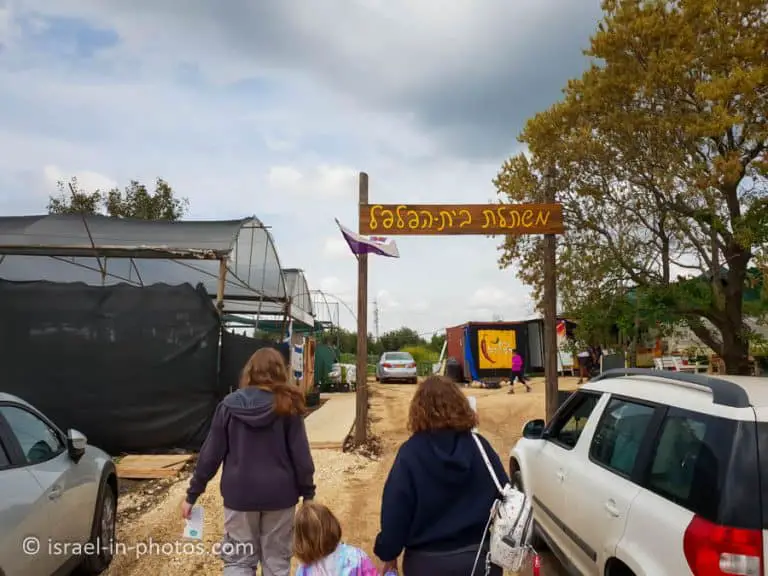 The Rabbit Village, Bethlehem of Galilee - Visitors Guide - Israel in ...