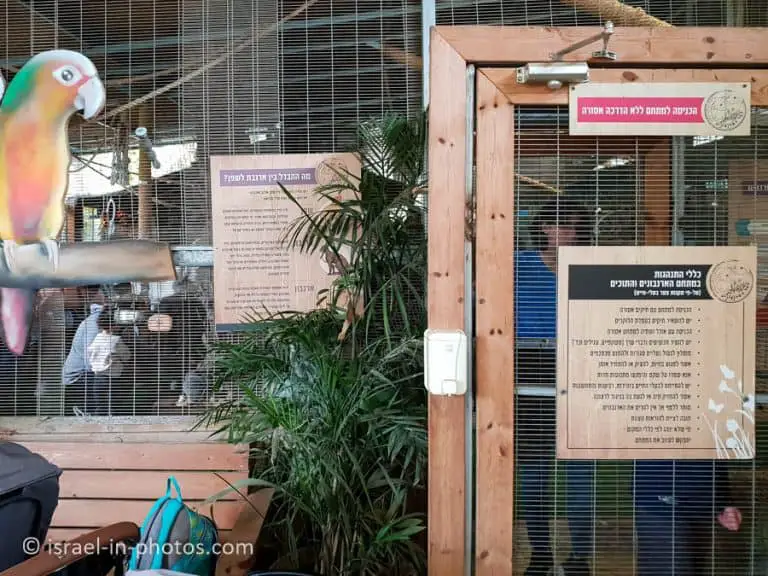 The Rabbit Village, Bethlehem of Galilee - Visitors Guide - Israel in ...