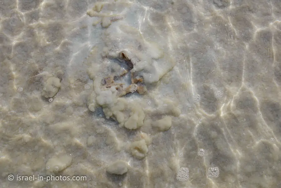 Sea Surface