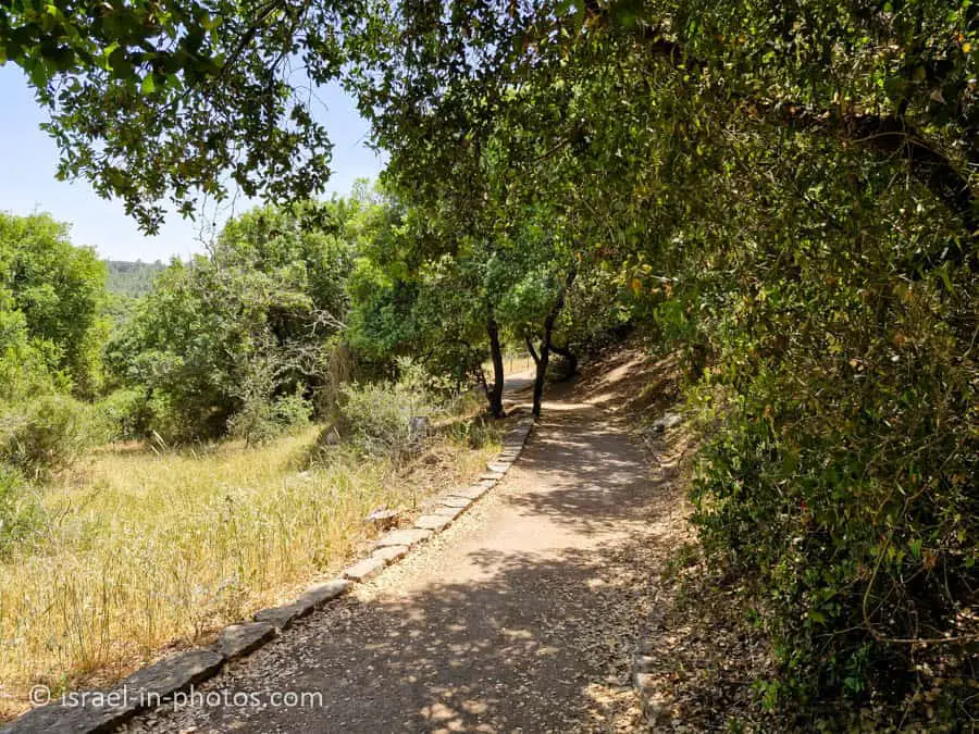 Paved Trail