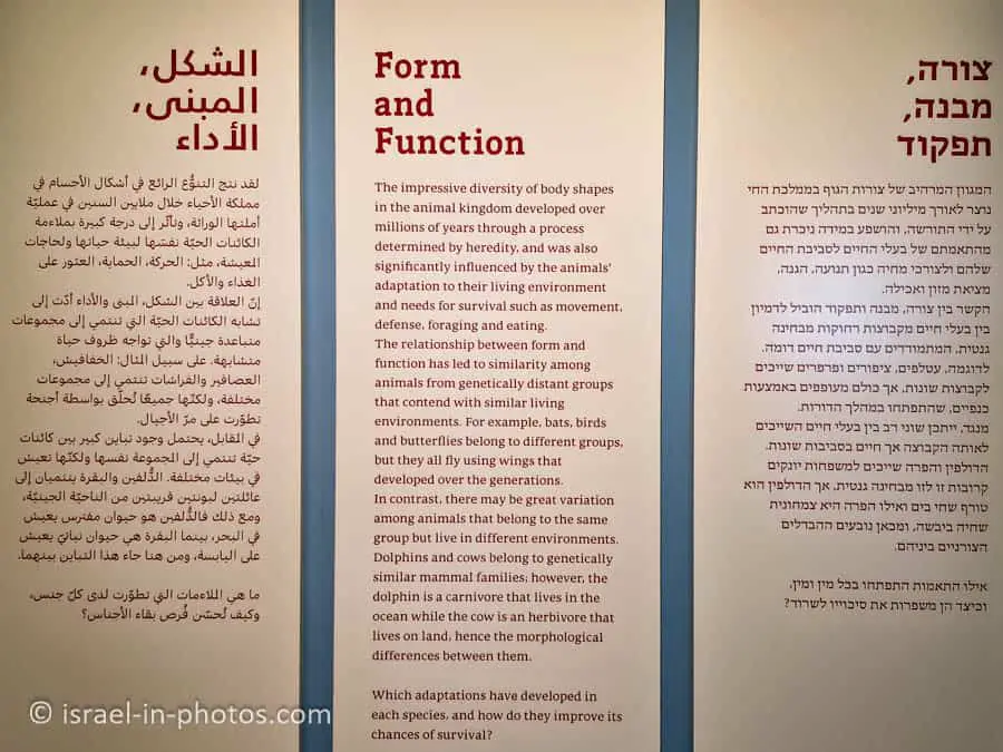 Form and Function
