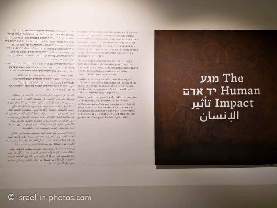 The Human Impact