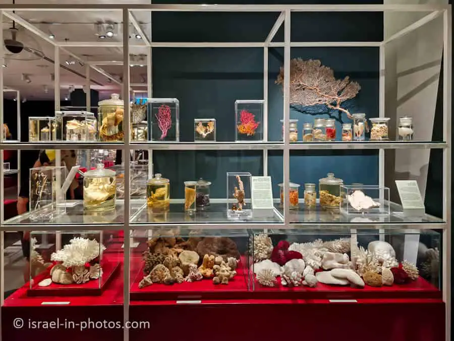 Treasures of Biodiversity