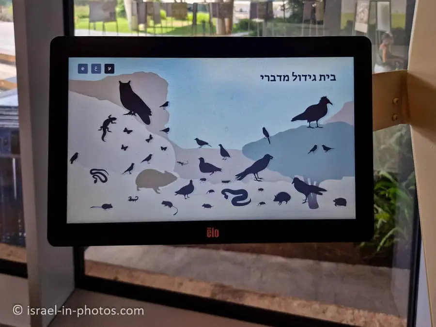 One of the tablets