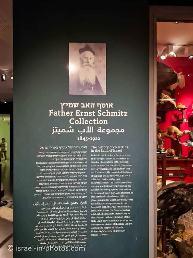 Father Ernst Schmitz collection