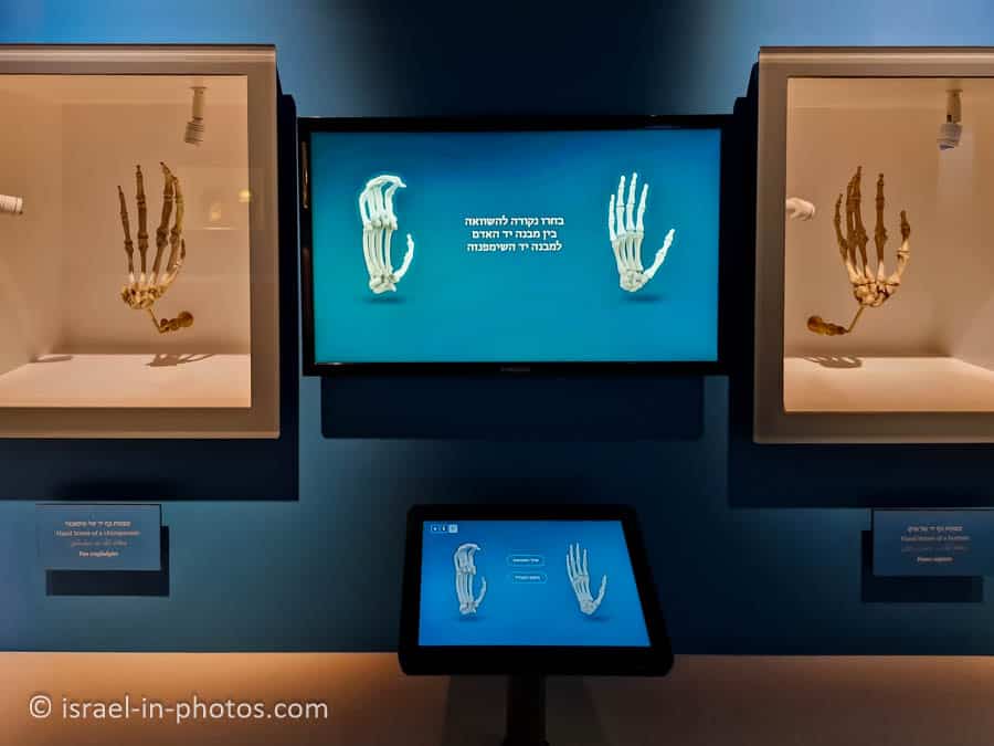Hand comparison