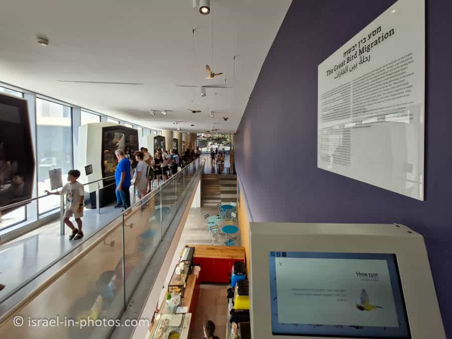 Entrance to the museum from the end of the corridor
