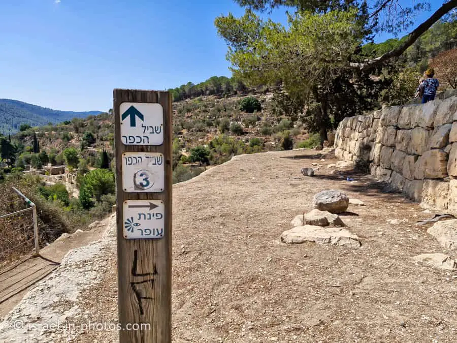 Ofer's Corner