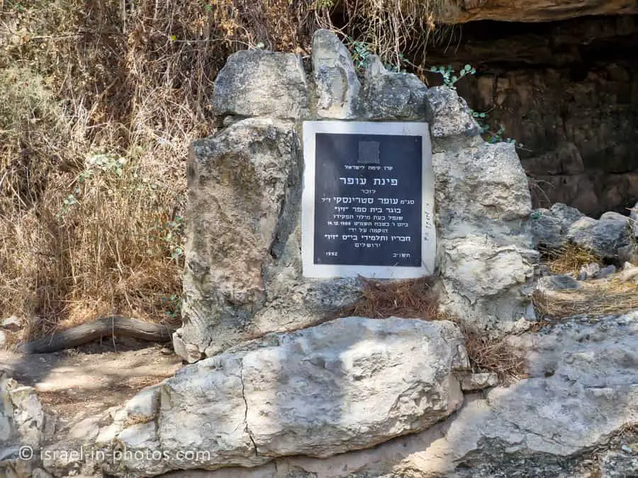 Ofer's Corner