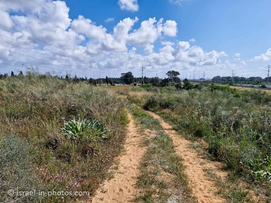 On top of Givat Homra