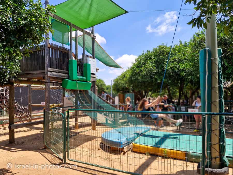 Tarzan swing